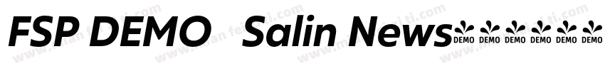 FSP DEMO   Salin News字体转换